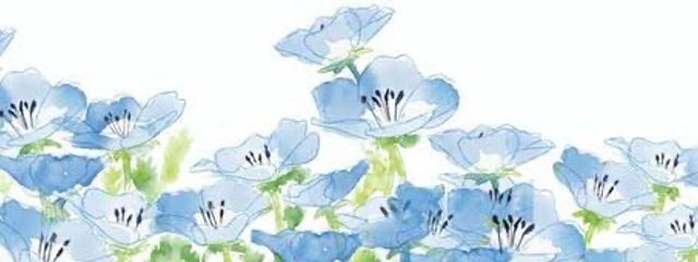 Misaさんの壁紙画像