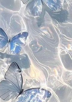 愛してくれなきゃやだ . [ knmc ]