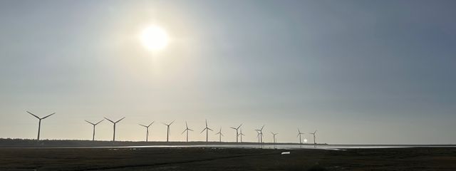 Jocelynさんの壁紙画像