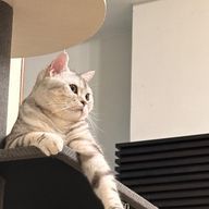 Jocelynさんのアイコン画像