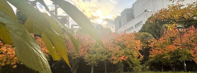 ばらんすぼーる@アイコン変えましたさんの壁紙画像