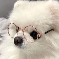 はてなまる。𖦹 ̫ 𖦹さんのアイコン画像