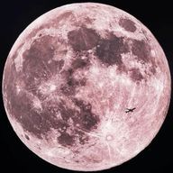 ちゃむさんのアイコン画像