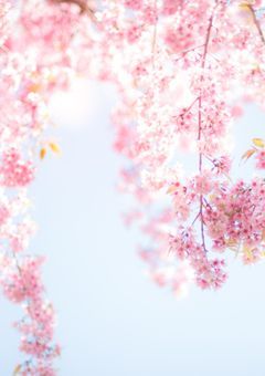 記憶の欠片【wkmr🎸🎤】