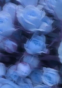 本当のことを言えるまで