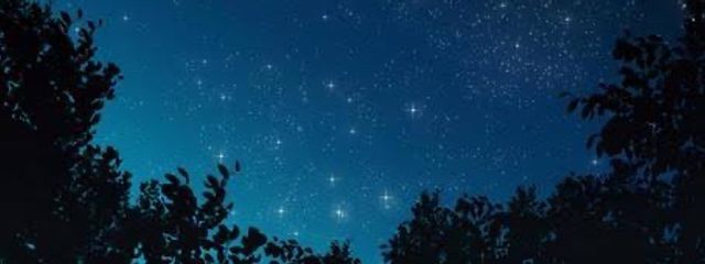 結さんの壁紙画像