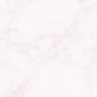 Rainさんのアイコン画像