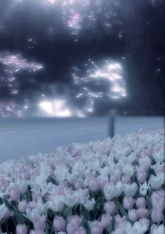 🍼の姫愛され過ぎて困ってます