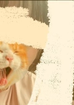 🍼写真