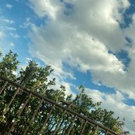 ゆるさんのアイコン画像