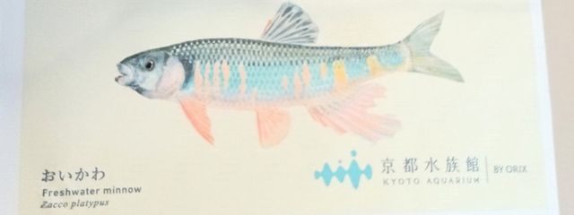 信じてるよ お前ら!♥さんの壁紙画像