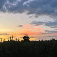 るなさんのアイコン画像