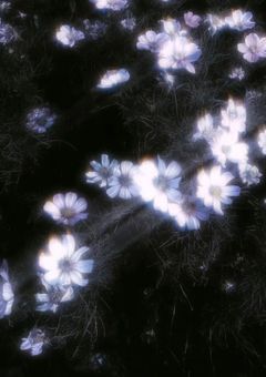 欲張りというには。