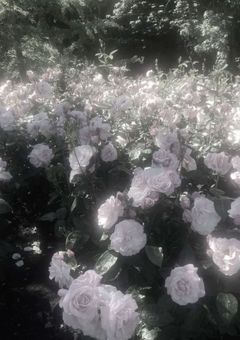 あの日あの場所で。