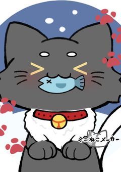 うちの猫は可愛い❣️