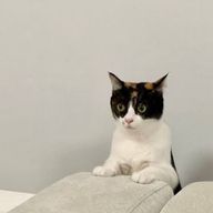 ことさんのアイコン画像