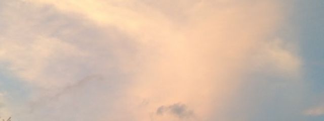 haruruさんの壁紙画像