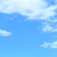 えだまめさんのアイコン画像