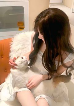 関西の姫は猫でした。