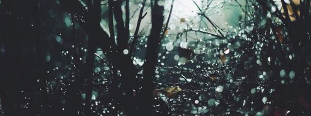 Kaz。さんの壁紙画像