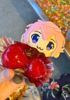姫の日記