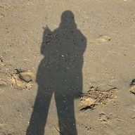 月姫＠ポン酢民さんのアイコン画像