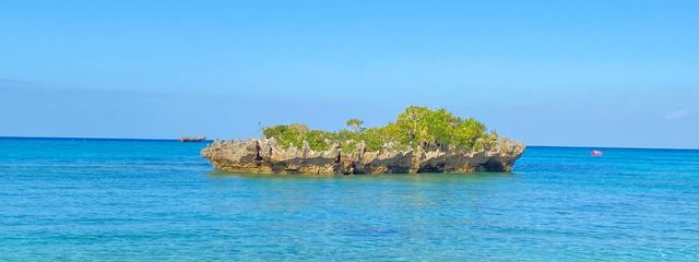 𝕊𝕒𝕜𝕚さんの壁紙画像