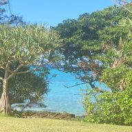 𝕊𝕒𝕜𝕚さんのアイコン画像