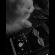 @Lunaria🕯‎💜‪さんのアイコン画像