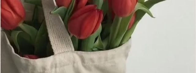 みるく依存症。さんの壁紙画像