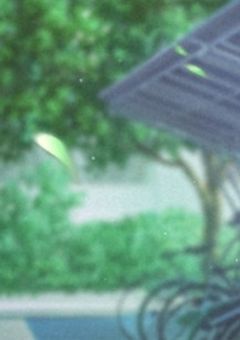 ˹参加型˼とある学園では国の化身と異能力者が虐められてるらしい(〆)