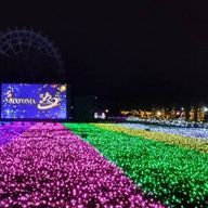 霄さんのアイコン画像