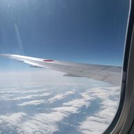 真島さん好き(龍が如く)さんのアイコン画像