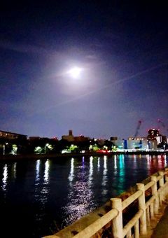 私じゃないなら期待させないでください。