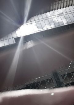 ふわふわにしたげる💭