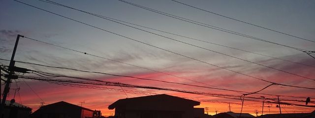 ふーまさんの壁紙画像