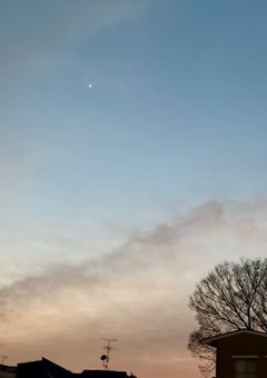 君と僕の初めては。