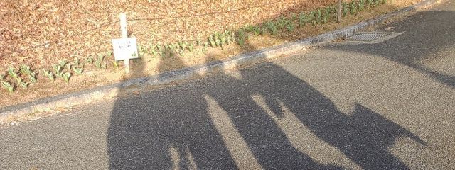 扇風機さんの壁紙画像