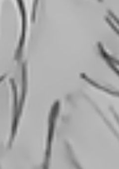 お姉ちゃん(刹那鶯)へ。