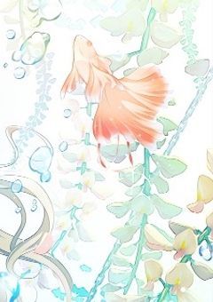 るいちゃん教！！