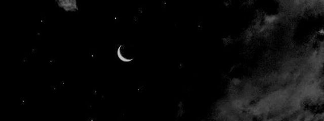 砂糖さんさんの壁紙画像