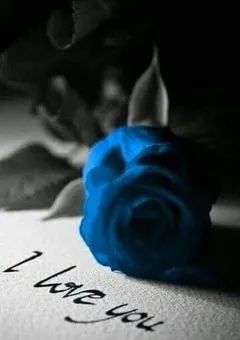 ﾌ"ﾙ"ｰ"ﾛ"ｯ"ｸ" R18短編