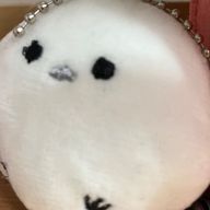 音さんのアイコン画像