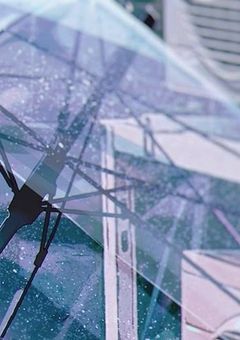 　￤ずぶ濡れの儘 .