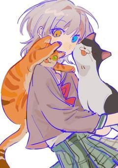 🏷️ (たぐ)