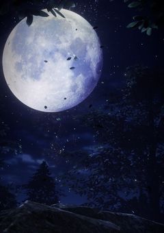 揺れる花に愛を。