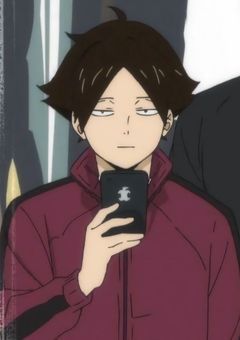 小さい狐、実はめっちゃイケメンでした。【HQ】