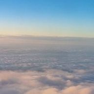 たんぽぽさんのアイコン画像