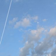 豆腐さんのアイコン画像