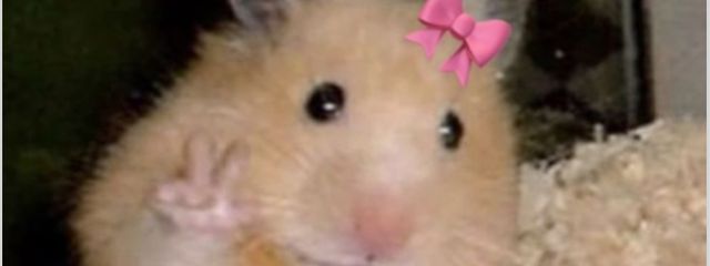 　_    棆檎さんの壁紙画像